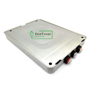 Nissan Leaf gen 1 (24kWh) Battery module (positive on left)